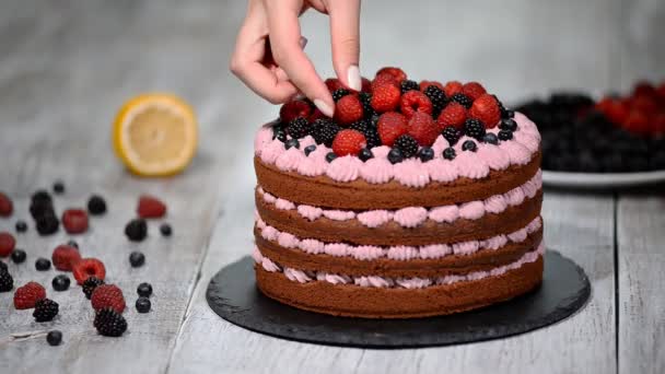 Chef decorar el pastel bayas silvestres. — Vídeos de Stock