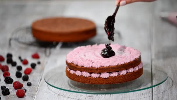 Készül, így a csokoládé torta bogyók. Womans kézzel díszíteni a tortát. — Stock videók