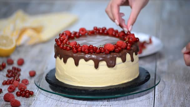 Chef de pastelaria decora um bolo com bagas . — Vídeo de Stock