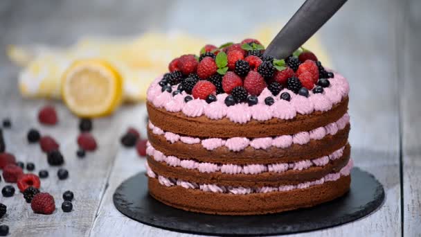 Corte hermoso pastel de chocolate con bayas frescas . — Vídeos de Stock