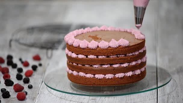 Preparing making chocolate cake with berries. Womans hand decorate cake. — Stock Video