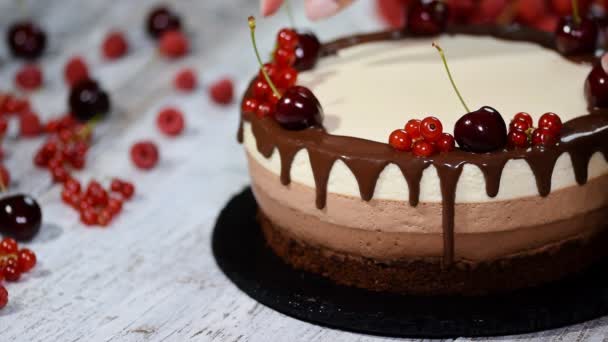 新鮮な果実で飾られたトリプル チョコレートのムースケーキ — ストック動画