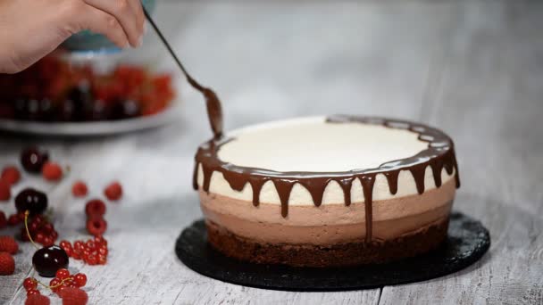 Udsmykning tredobbelt chokolade mousse kage . – Stock-video