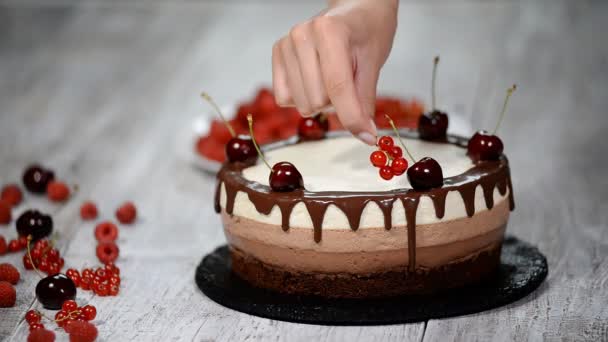 Trojitá Čokoládový mousse dort zdobený čerstvé bobule. — Stock video