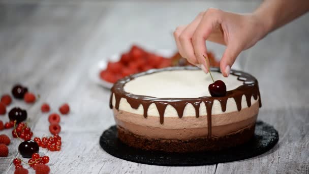 Pastel de mousse de chocolate triple decorado con bayas frescas . — Vídeos de Stock