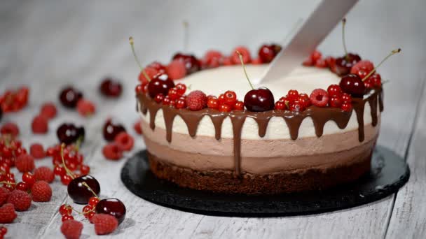 Vágás hármas csokoládé mousse torta. — Stock videók