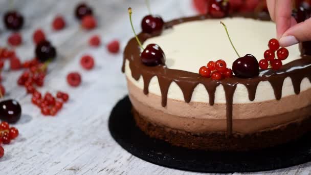 Tripla Csoki Mousse Torta Díszítik Friss Bogyós Gyümölcsök — Stock videók