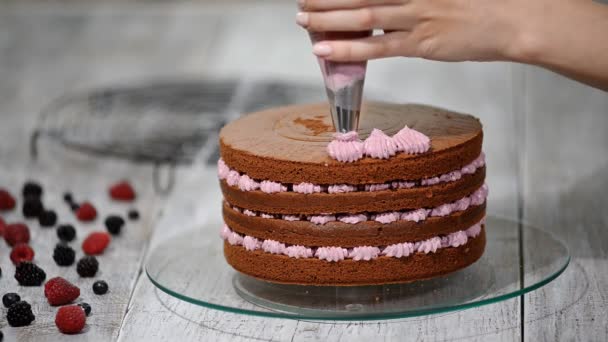 Förbereder sig för att göra choklad tårta med bär. Kvinnans hand dekorera tårta. — Stockvideo