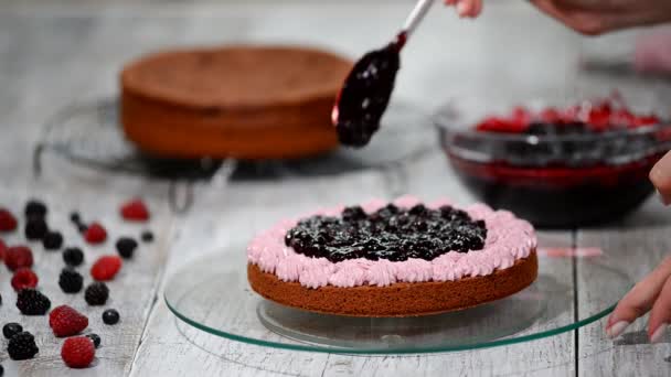 Preparación de hacer pastel de chocolate con bayas. Mujeres mano decorar pastel . — Vídeos de Stock