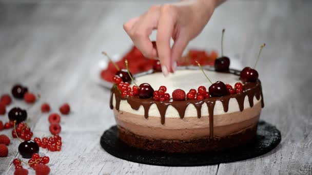 Üç Kişilik çikolatalı mousse kek taze çilek ile dekore edilmiştir.. — Stok video