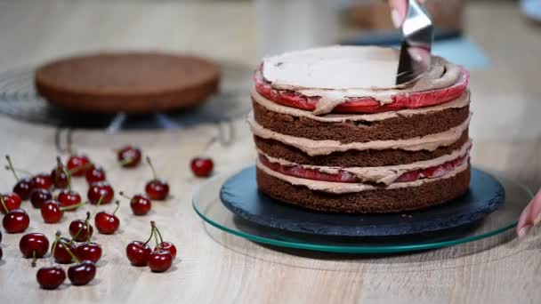 Proces vaření čokolády piškotový dort. Aby čokoláda cherry cake — Stock video
