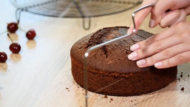 Chef cortando capas de pastel de chocolate y apilándolas . — Vídeo de stock