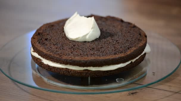 チョコレートのスポンジ ケーキを調理のプロセス. — ストック動画