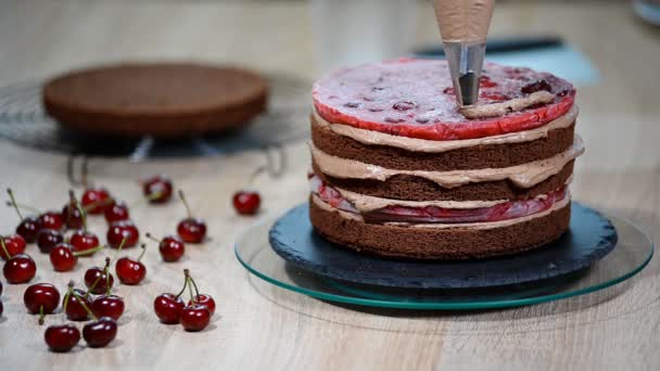 Preparing making chocolate cake with cherries. — Stock Video