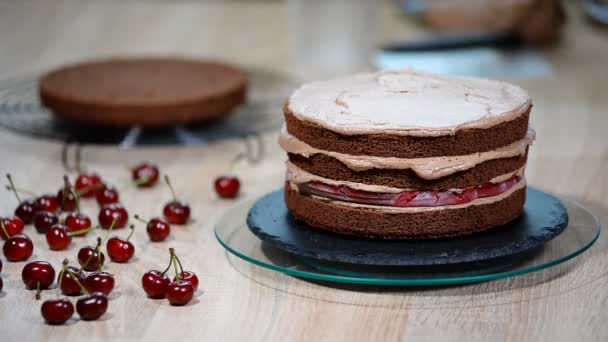 Voorbereiding maken chocolate cake met kersen. — Stockvideo