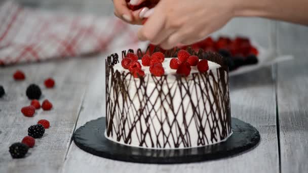 Décorer le gâteau avec des baies et du chocolat. Gâteau fait maison . — Video