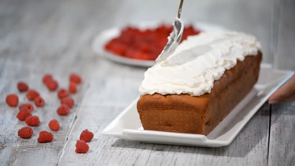 Hacer pastel de frambuesa con crema . — Vídeos de Stock