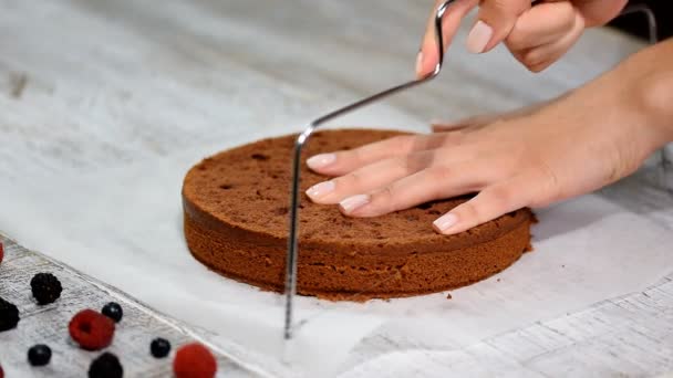 Couper le gâteau sur les couches. Faire gâteau de couche de chocolat . — Video