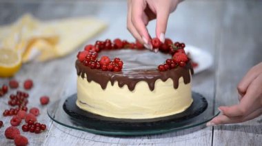 Çikolata tatlım katlı pastayı Medovik çilek ile.