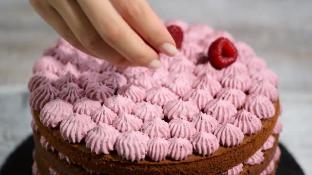 Pastelero decora un pastel de chocolate con bayas . — Vídeos de Stock