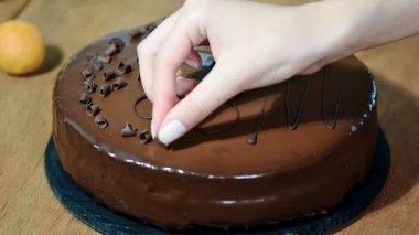 Çikolatalı kek Sacher ahşap bir masa üzerinde.