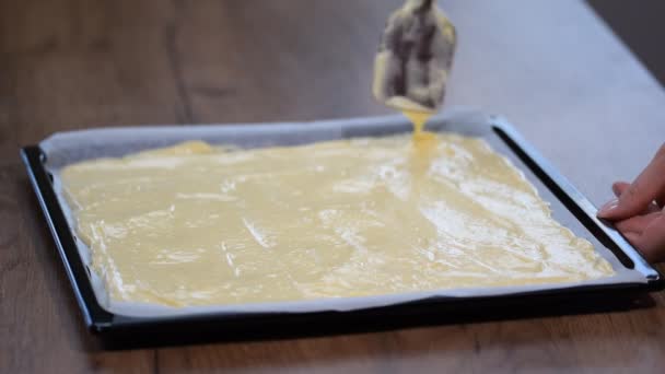 The sponge cake batter in the baking sheet — Stock Video