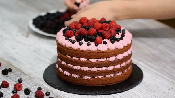 糕点师傅装饰浆果蛋糕 — 图库视频影像