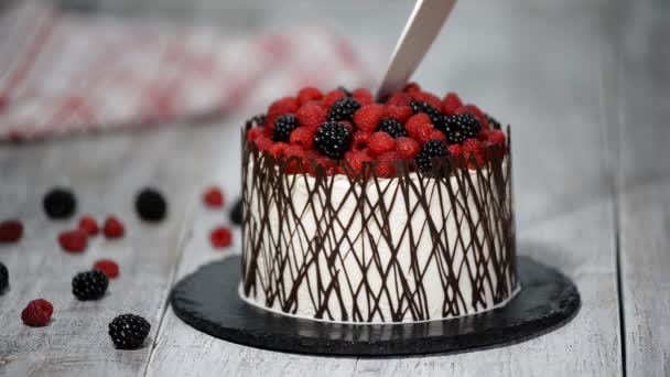 Cutting trendy rustic vertical roll high cake with berry. — Stock Video