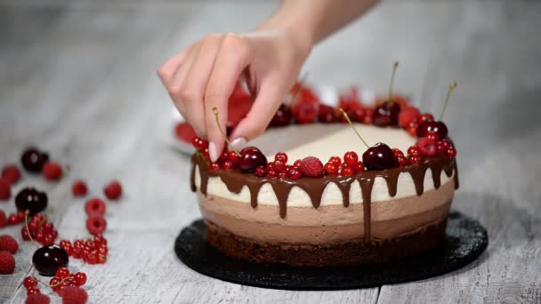Три шоколадних торта мусу прикрашені ягодами . — стокове відео