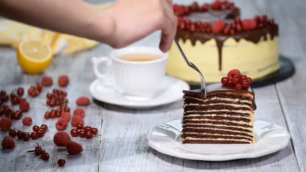 Szelet étcsokoládét réteg torta bogyók és csokoládé öntettel. — Stock videók