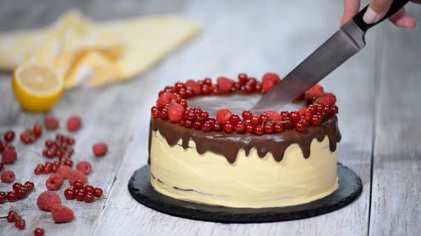 Pastel de capa de miel de chocolate Medovik . — Vídeos de Stock