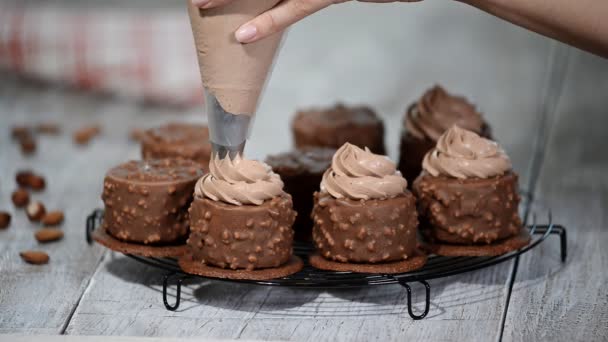 Mini Chocolademousse Taart Versieren Hazelnoot Mousse Chocoladetaart Bedekt Met Chocolade — Stockvideo