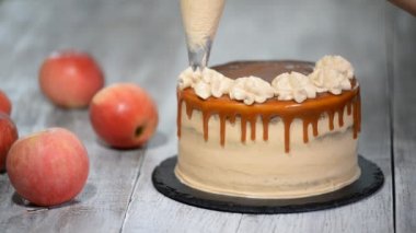 el sıkma krem pasta çanta süslemeleri pasta tepesi şanti.
