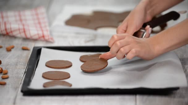 Déposer les biscuits au chocolat cru sur une plaque à pâtisserie avec du papier sulfurisé, prêts à cuire . — Video