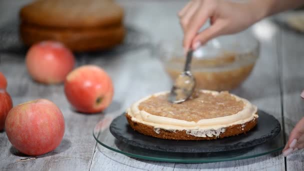 Le processus d'assemblage du gâteau aux pommes . — Video