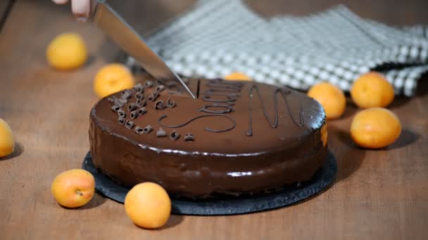 Sacher caseiro, bolo de chocolate com bolo de geleia. Mão feminina cortando o bolo de chocolate . — Vídeo de Stock