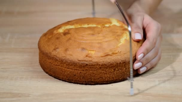 Sponge-cake and threads cutting. Making layer sponge cake. — Stock Video