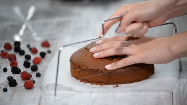 Couper le gâteau sur les couches. Faire gâteau de couche de chocolat. Série. — Video