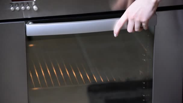 Las manos femeninas ponen los filetes de pollo en el horno. Receta paso a paso. Preparación escénica para cocinar platos. Serie . — Vídeos de Stock