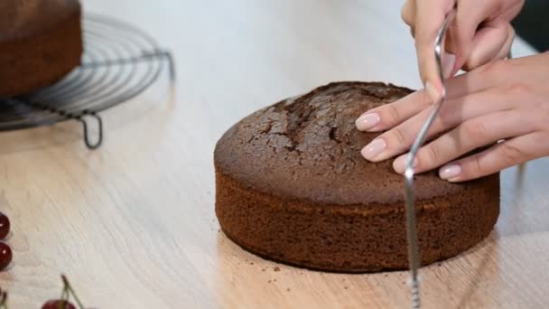 Corte de bolo em camadas. Fazendo bolo de camada de chocolate . — Vídeo de Stock