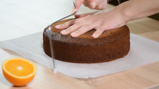 Cortando pastel en capas. Hacer pastel de capa de chocolate . — Vídeo de stock
