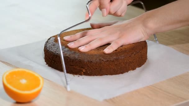 Skär Kakan Lager Att Göra Choklad Layer Cake — Stockvideo
