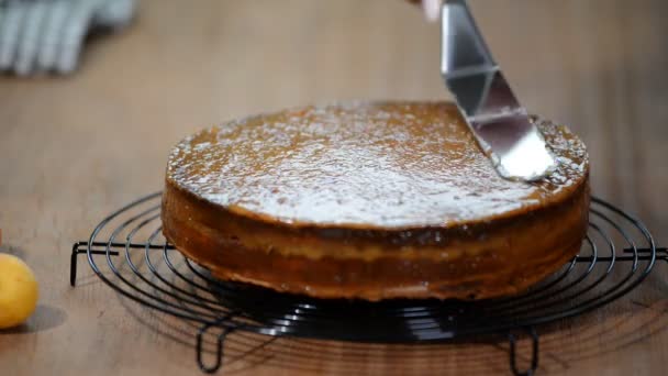 Una Etapa Cocinar Pastel Torta Sacher — Vídeos de Stock