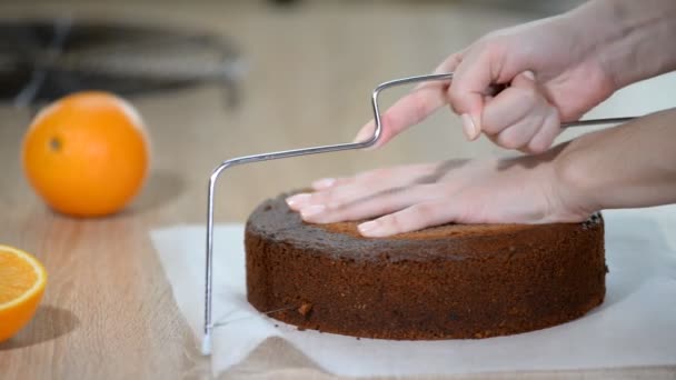 Cortar uma série de doces de bolo de esponja de chocolate. Confeitaria. Bolo de biscoito de cozinha . — Vídeo de Stock