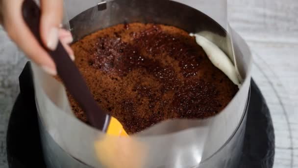 Couche de gâteau éponge trempage avec sirop . — Video