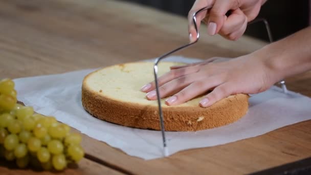 Suikerwerk allerlei spons cake snijden. Suikerwerk. Koken biscuit taart. — Stockvideo