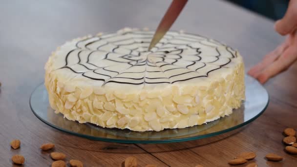 Traditionele Hongaarse Esterhazy cake. Vrouwelijke hand snijden taart Esterhazy — Stockvideo