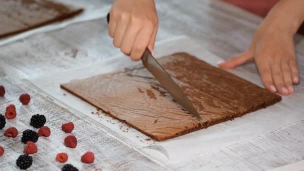 Donna che taglia a mano pan di Spagna. Cucinare la torta. Primo piano . — Video Stock