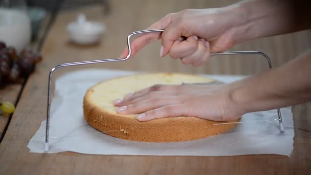 Γυναίκα στο χέρι κοπής-παντεσπάνι. Κόβοντας μια γαμήλια τούρτα σφουγγάρι. — Αρχείο Βίντεο