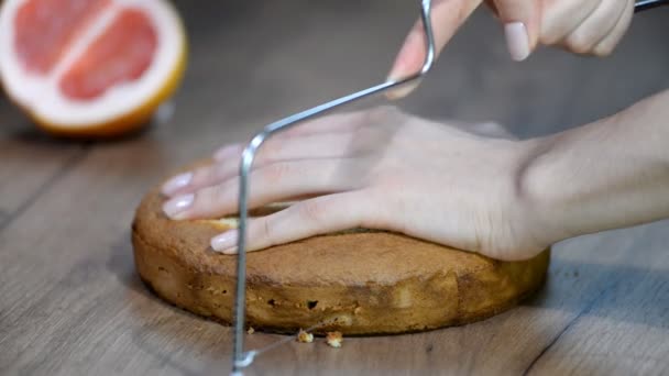 Chef de pastelaria fêmea está cortando um bolo na mesa . — Vídeo de Stock